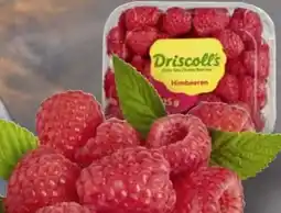 Edeka Driscoll's Himbeeren Angebot