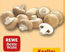 REWE Center Rewe Beste Wahl Champignons Angebot