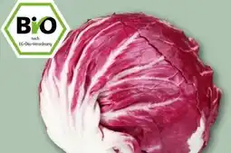 REWE Center Rewe Bio Salat Radicchio Angebot