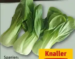 REWE Center Pakchoi Angebot