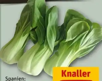 REWE Center Pakchoi Angebot