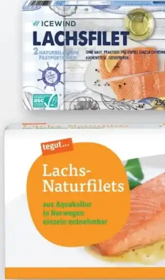 tegut Icewind Lachs-Naturfilet Angebot