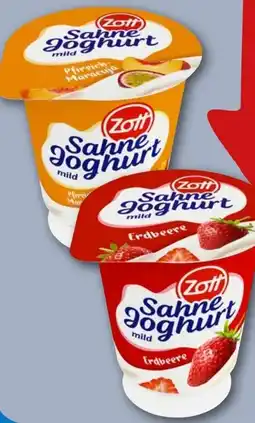 REWE Center Zott Sahne Joghurt Angebot