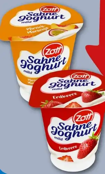 REWE Center Zott Sahne Joghurt Angebot