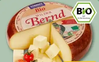 REWE Center Söbbeke Bio Wilder Bernd Angebot