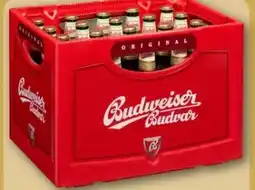 REWE Center Budweiser Budvar (CZ) Czech Premium Lager Angebot