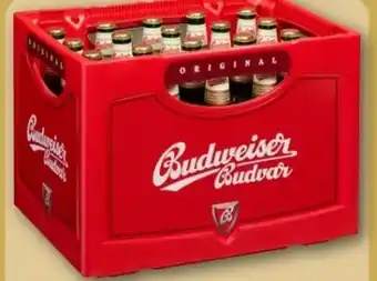 REWE Center Budweiser Budvar (CZ) Czech Premium Lager Angebot