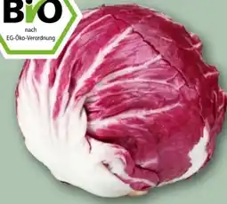 REWE Rewe Bio Salat Radicchio Angebot