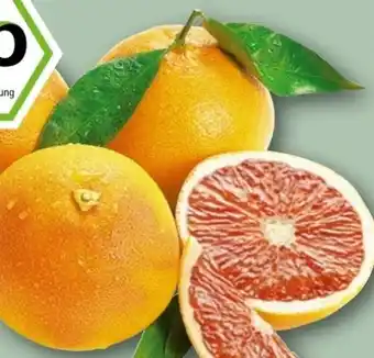 REWE Rewe Bio Bio-Grapefruit Angebot