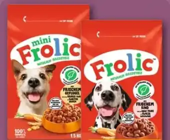 REWE Center Frolic Hundenahrung Angebot