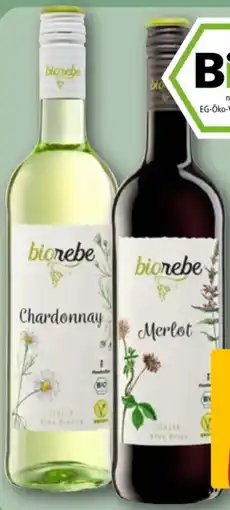 REWE Biorebe Merlot Angebot