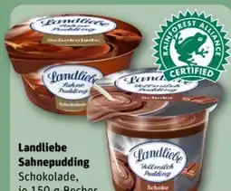 REWE Center Landliebe Sahnepudding Angebot