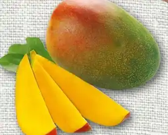 REWE Mango Angebot