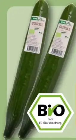 REWE Rewe Bio Bio-Salatgurke Angebot