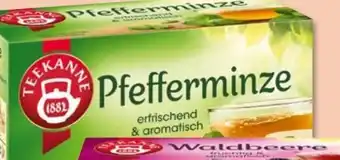 PENNY Teekanne Minze Angebot