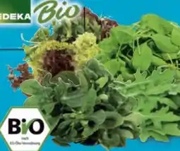 E-Center Edeka Bio Salate Angebot