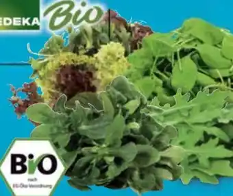 E-Center Edeka Bio Salate Angebot