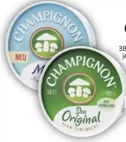 Edeka Käserei Champignon Camembert Angebot