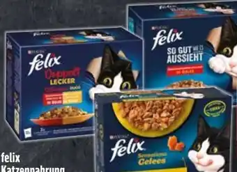 Edeka Purina Felix Katzennahrung Angebot