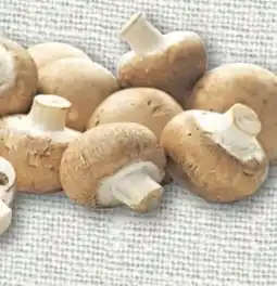 nahkauf Rewe Regional Champignons Angebot