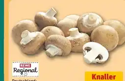 REWE Center Rewe Regional Champignons Angebot