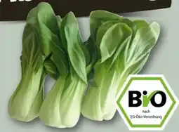 REWE Center Rewe Bio Pakchoi Angebot