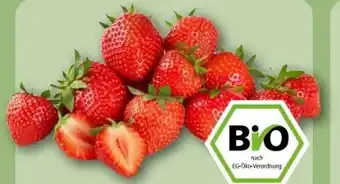 REWE Center Rewe Bio Bio-Erdbeeren Angebot