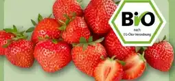 REWE Rewe Bio Bio-Erdbeeren Angebot