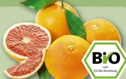 REWE Rewe Bio Bio-Grapefruit Angebot