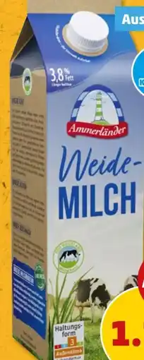 PENNY Ammerländer Weidemilch Angebot