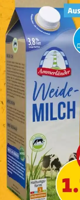 PENNY Ammerländer Weidemilch Angebot