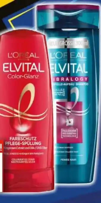 EDEKA Bandelt L'Oréal Paris Elvital Shampoo Angebot