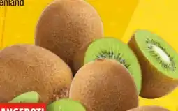 EDEKA Bandelt Jingold Kiwi Grün Angebot