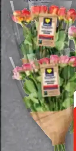 Edeka Frischemarkt Edeka Herzstücke Rosen Angebot