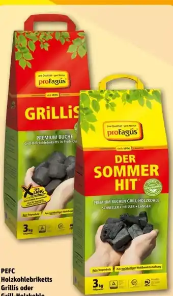 REWE Center proFagus Holzkohlebriketts Grillis Angebot