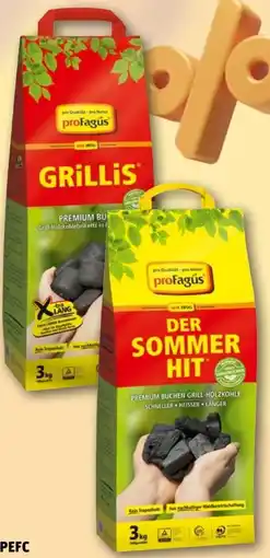 REWE proFagus Holzkohlebriketts Grillis Angebot