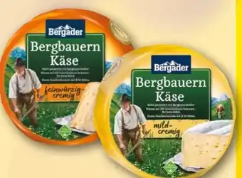 REWE Bergader Bergbauern Käse mild-cremig Angebot