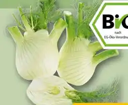 REWE Rewe Bio Bio-Fenchel Angebot