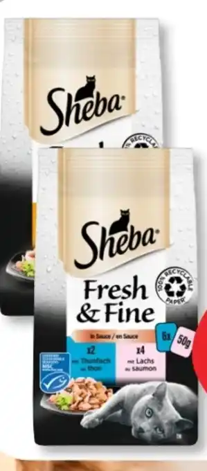 Budni Sheba Katzennahrung Fresh & Fine Angebot