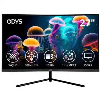 Poco Odys Curved Monitor Q27 WQHD 2K Angebot