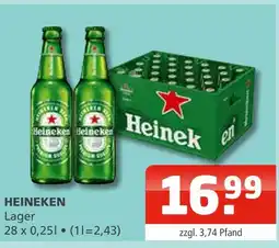 Getränke Oase Heineken heineken Angebot