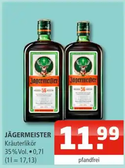 Getränke Oase Jägermeister jägermeister Angebot