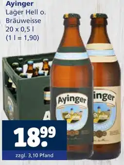 Getränkewelt Ayinger lager hell oder bräuweisse Angebot