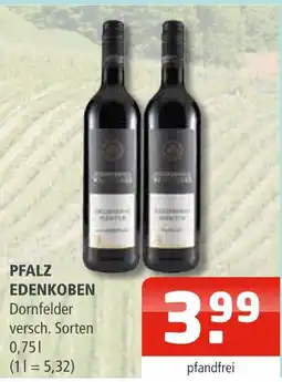 Getränke Oase Pfalz edenkoben dornfelder Angebot