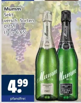 Getränkewelt Mumm sekt Angebot