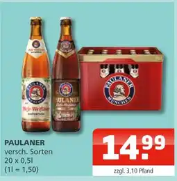 Getränke Oase Paulaner Angebot