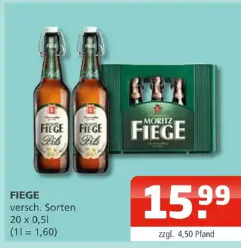 Getränke Oase Fiege fiege Angebot