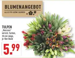 Marktkauf Roccoco tulpen Angebot