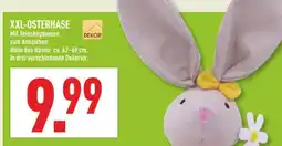 Marktkauf Dekor xxl-osterhase Angebot