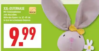 Marktkauf Dekor xxl-osterhase Angebot